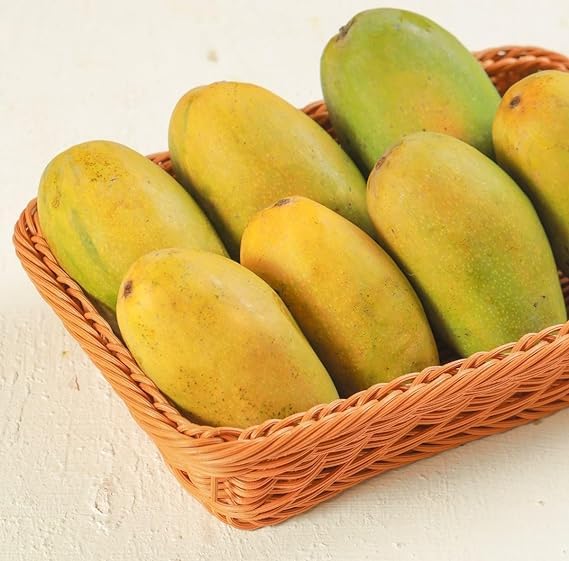 Dasehri mangoes packed fresh