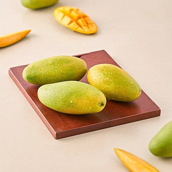 Dasehri mangoes on tree